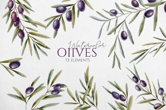 Bringing Mediterranean Elegance to Digital Design with Hand-Painted Olive Branches