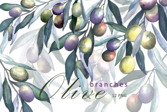 Elevating Visual Storytelling with Hand-Painted Watercolor Olive Elements