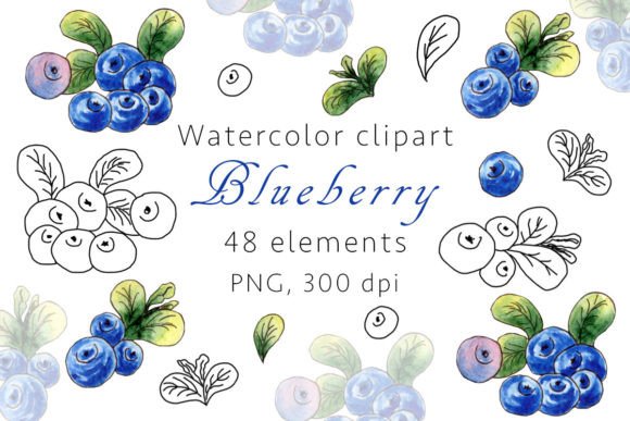 Evaluating Blueberry Watercolor Clipart, PNG for Professional and DIY Design Projects