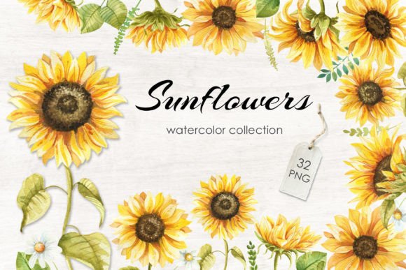 Evaluating the Sunflowers Watercolor Collection for Professional Design Workflows