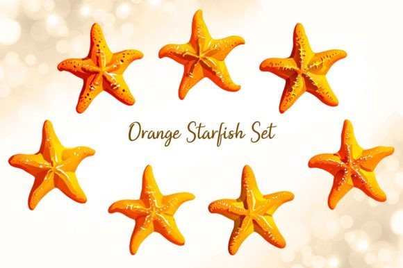 Orange Starfish Set: A Practical Guide for Designers