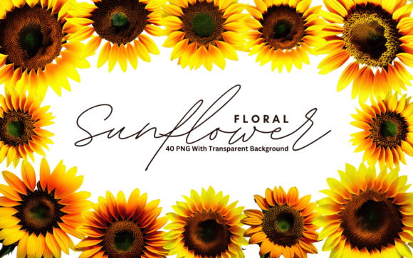 Sunflower Floral Premium PNG Bundle Guide