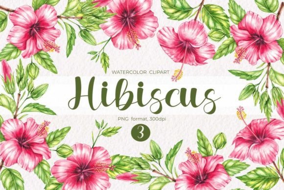 Watercolor Hibiscus Watercolor Clipart: A Practical Asset for Modern Design